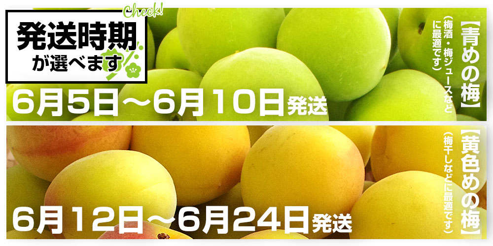 和歌山県産 JA紀州 みなべの南高梅 3Lサイズ 10キロ 梅 梅干 梅干し