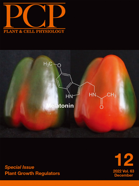 2022年 Vol.63 | 学術誌PCP | 日本植物生理学会