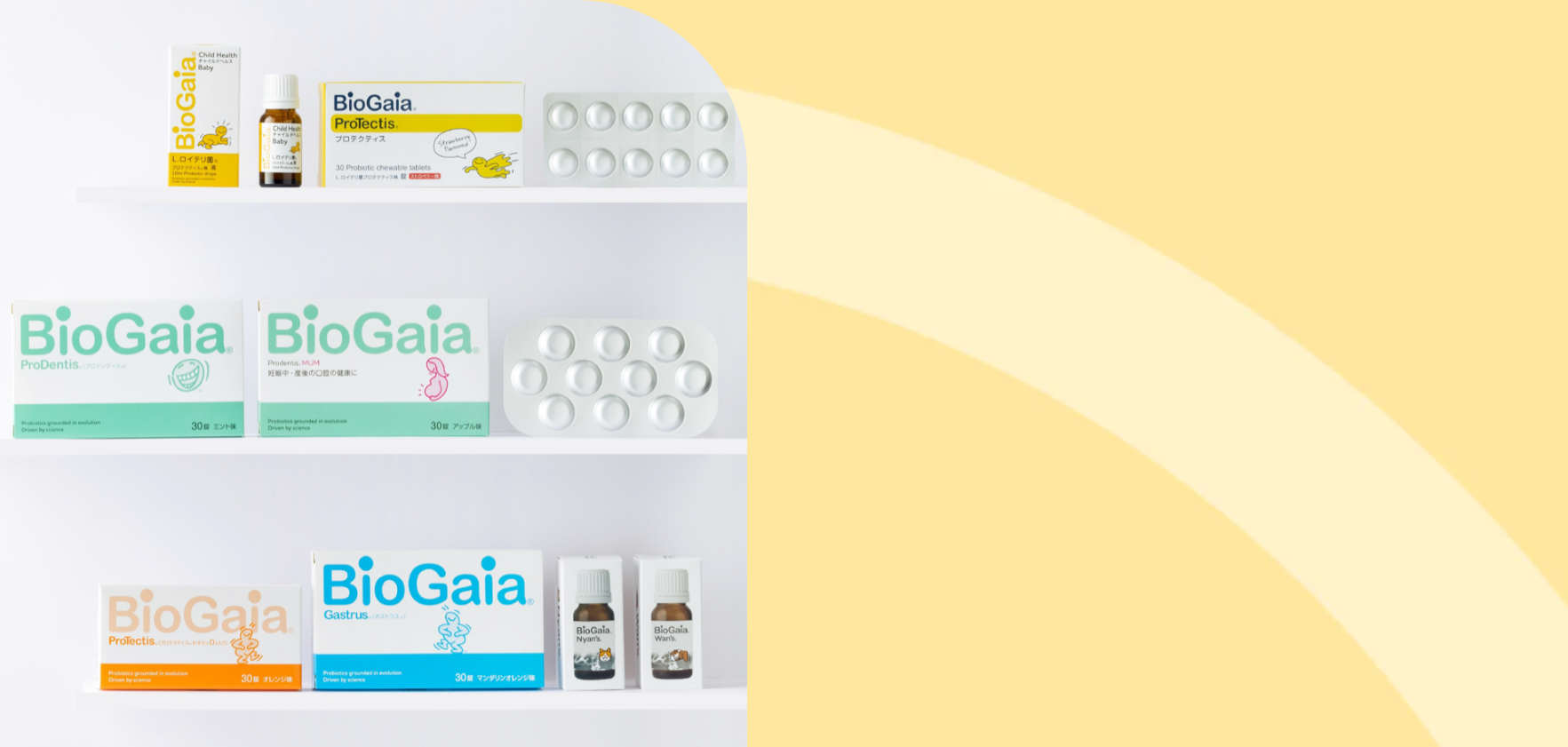 バイオガイアロイテリストア