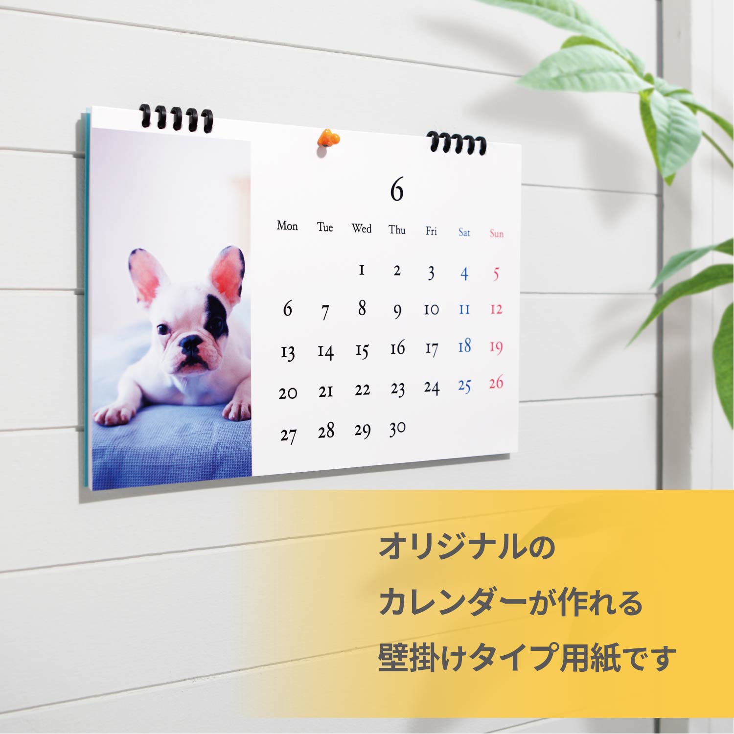 EDT-CALA4WK 手作りカレンダーキット 用紙13枚入り (フォト光沢紙