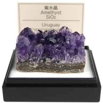 紫水晶 鉱物標本 ケニス 寸法20～30mm 1個 - 【通販モノタロウ】