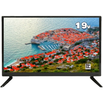 QL-192RZ QUALL(クオール) 19型液晶ハイビジョンLEDテレビ 1個 APEX