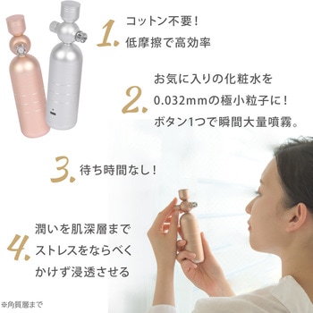 beapro19 withミスト リッチミストガン TAIGASHOJI(大河商事) 美顔器