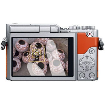 DC-GF10W-D LUMIX DC-GF10W ミラーレス一眼カメラ ダブルレンズキット