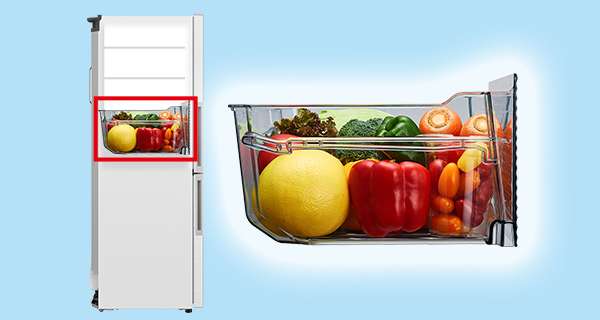 SJ-PD31J | 冷蔵庫：シャープ