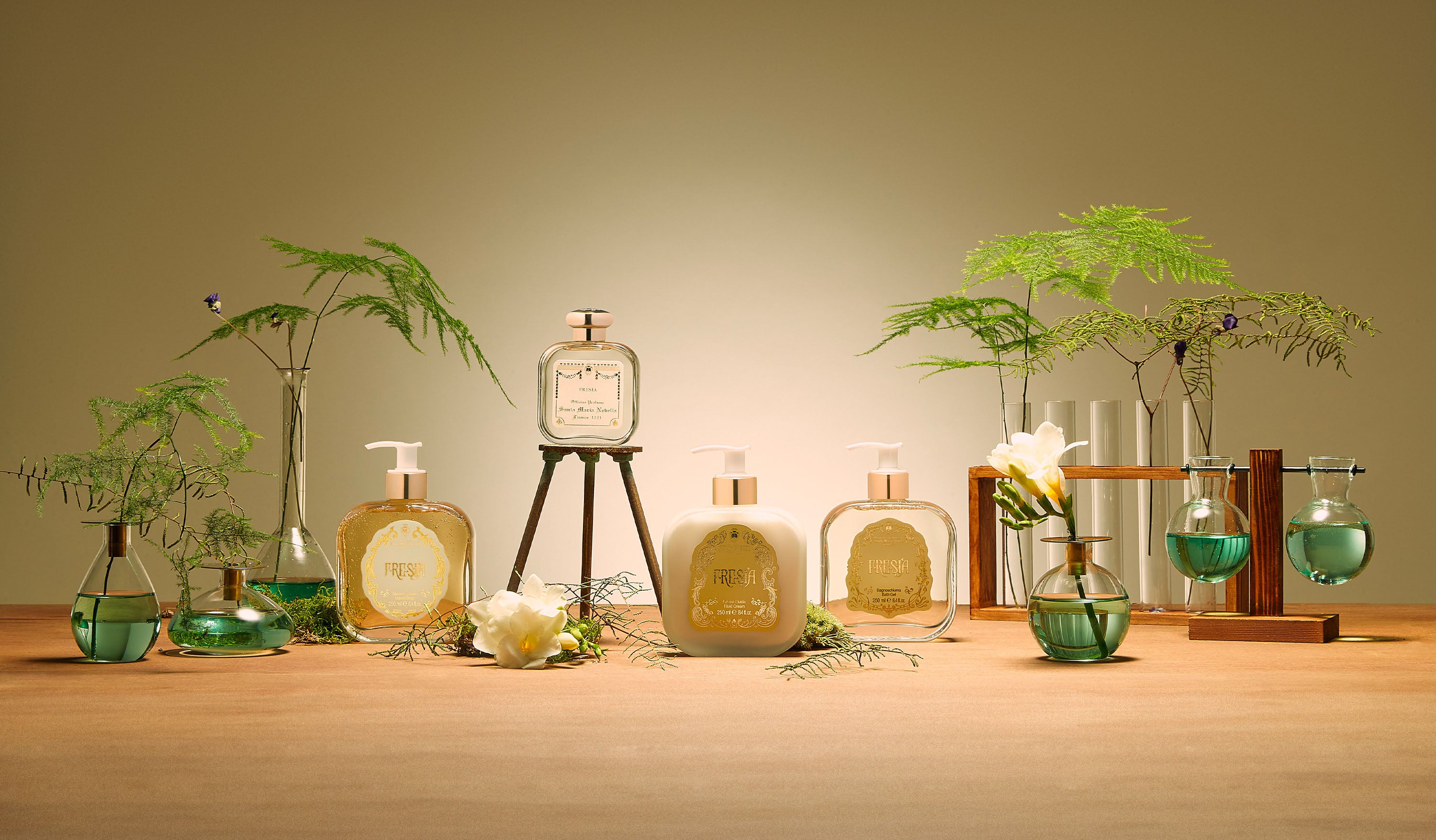 フリージア｜サンタ・マリア・ノヴェッラ