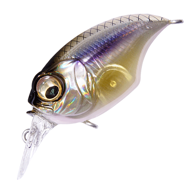 SR-X GRIFFON (3rd Generation) [Brand New] – JAPAN FISHING TACKLE