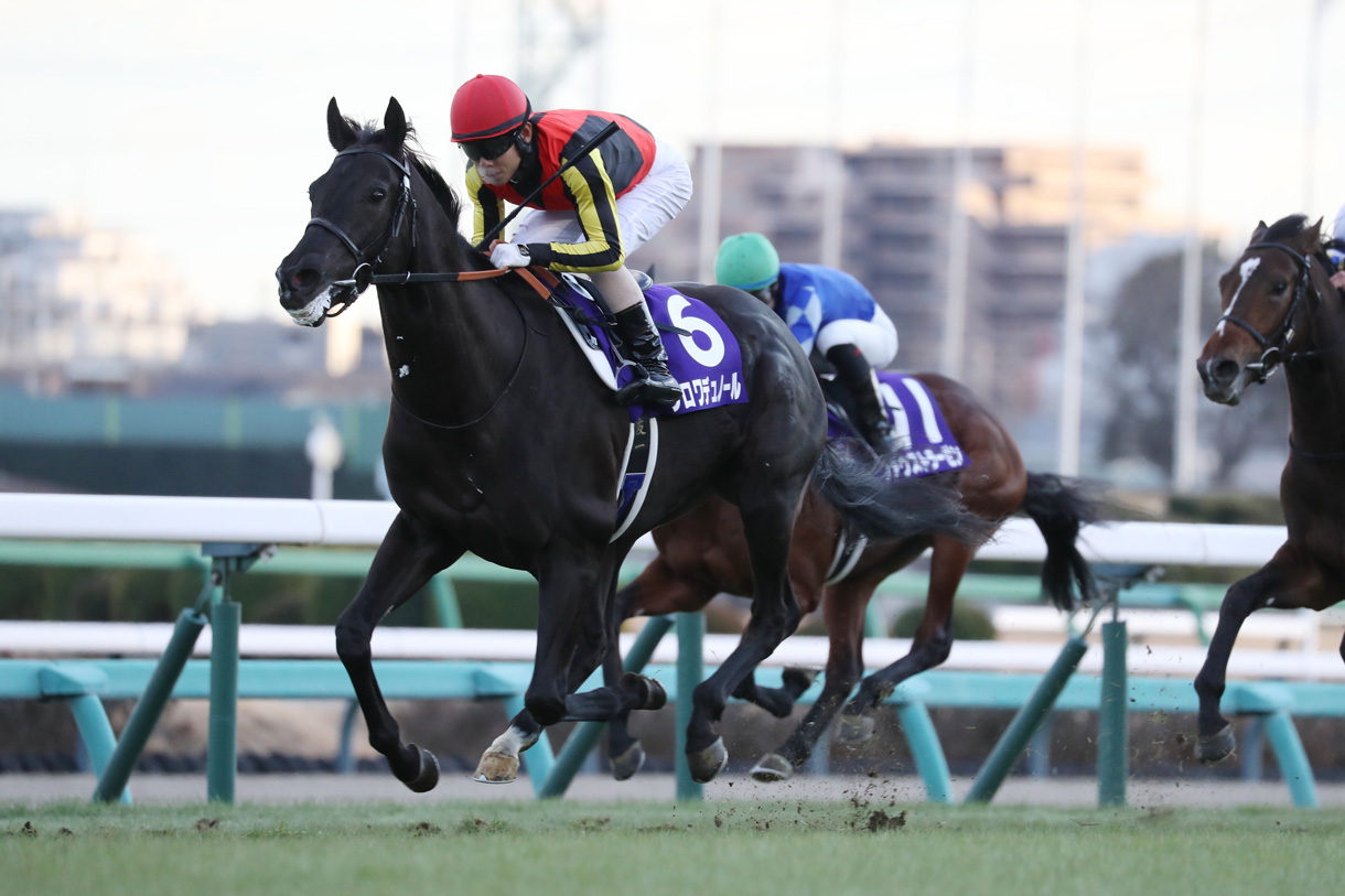東京優駿（日本ダービー）2025 有力馬情報｜G1特集｜競馬情報ならJRA-VAN