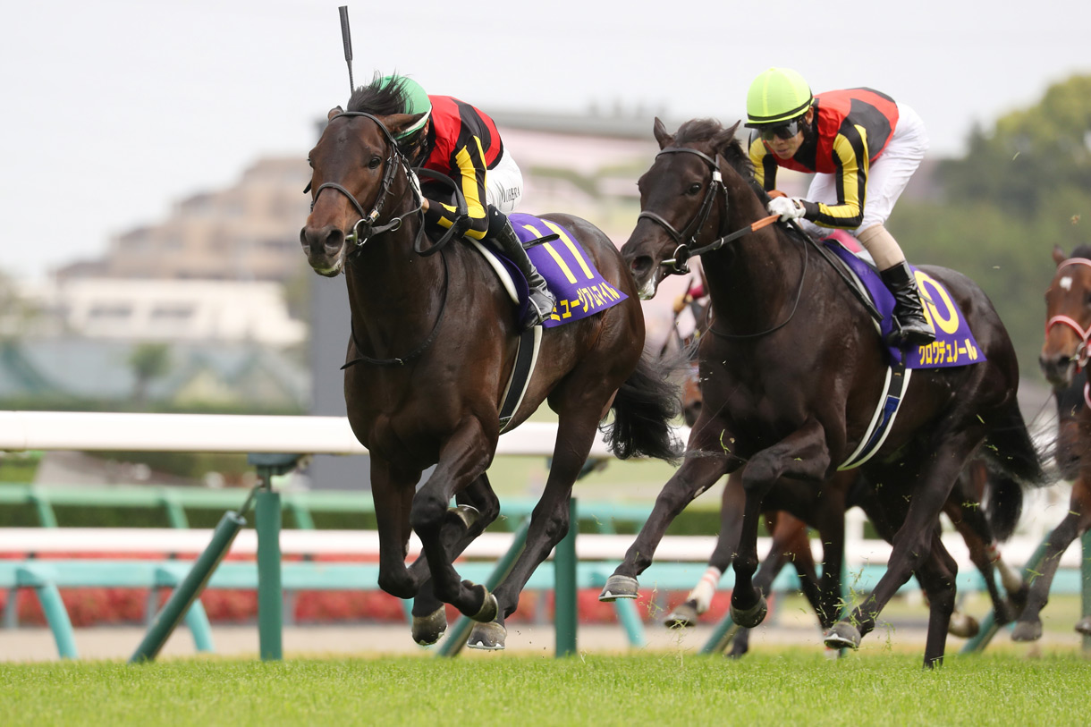 東京優駿（日本ダービー）2025 有力馬情報｜G1特集｜競馬情報ならJRA-VAN