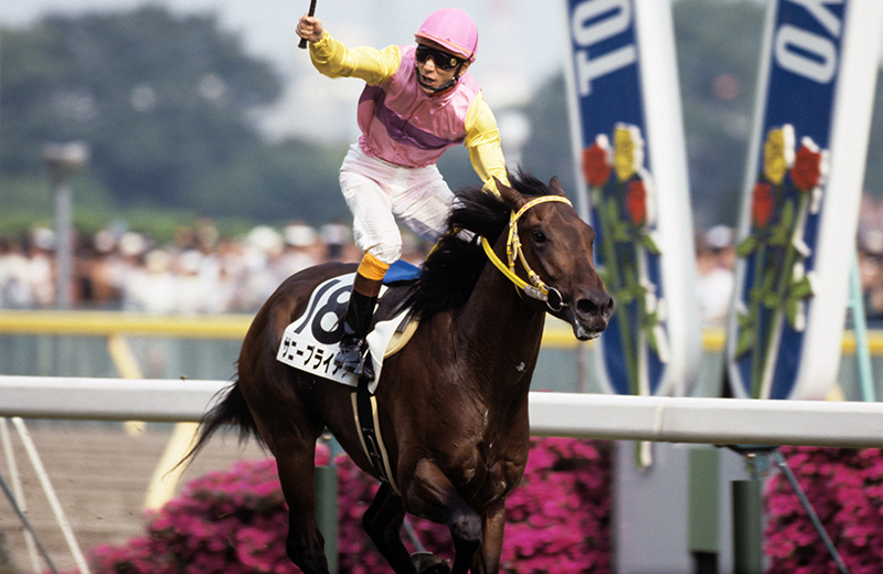 サニーブライアン｜名馬メモリアル｜競馬情報ならJRA-VAN