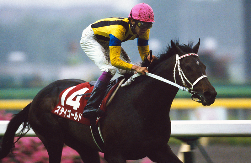 ステイゴールド｜名馬メモリアル｜競馬情報ならJRA-VAN