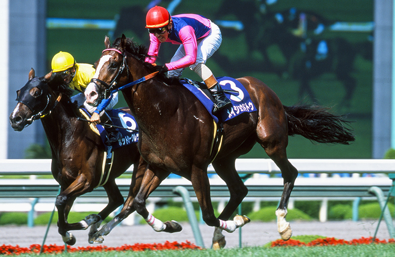 メイショウドトウ｜名馬メモリアル｜競馬情報ならJRA-VAN