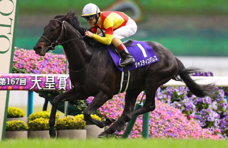 ジャスティンパレス ゼッケン 実使用 G1 馬 ジャスティンパレス