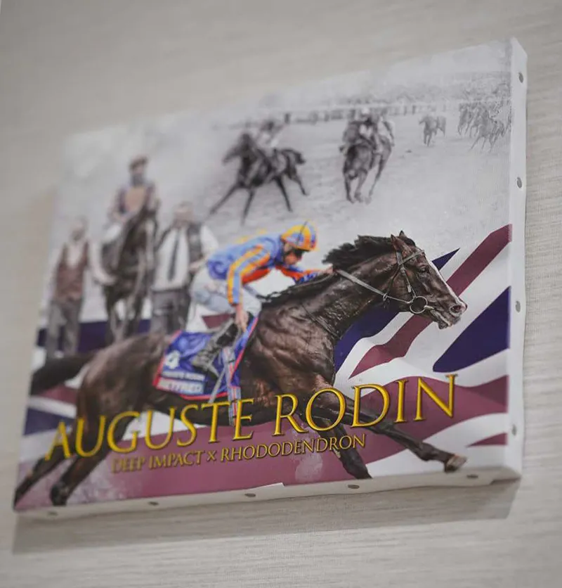 英ダービー馬オーギュストロダングッズ登場 | JRA-VANスマホアプリ