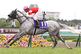 JRAホームページ｜データファイル｜競走成績データ