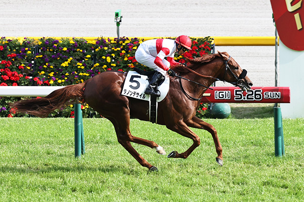 ダノンデサイル 2024 日本ダービー 出走馬ミニゼッケン ダノンデサイル