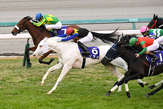 2020年 農林水産省賞典 阪神ジュベナイルフィリーズ JRA