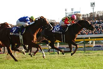 JRAホームページ｜データファイル｜競走成績データ