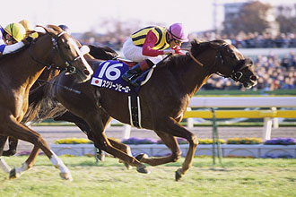 JRAホームページ｜データファイル｜競走成績データ