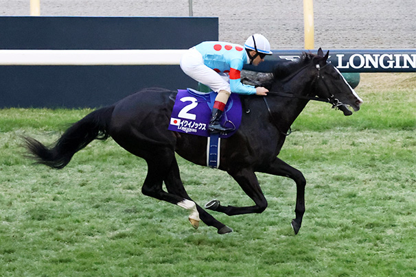 2023年 ジャパンカップ JRA