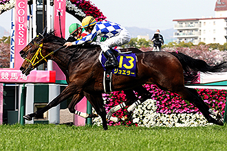 JRAホームページ｜データファイル｜競走成績データ