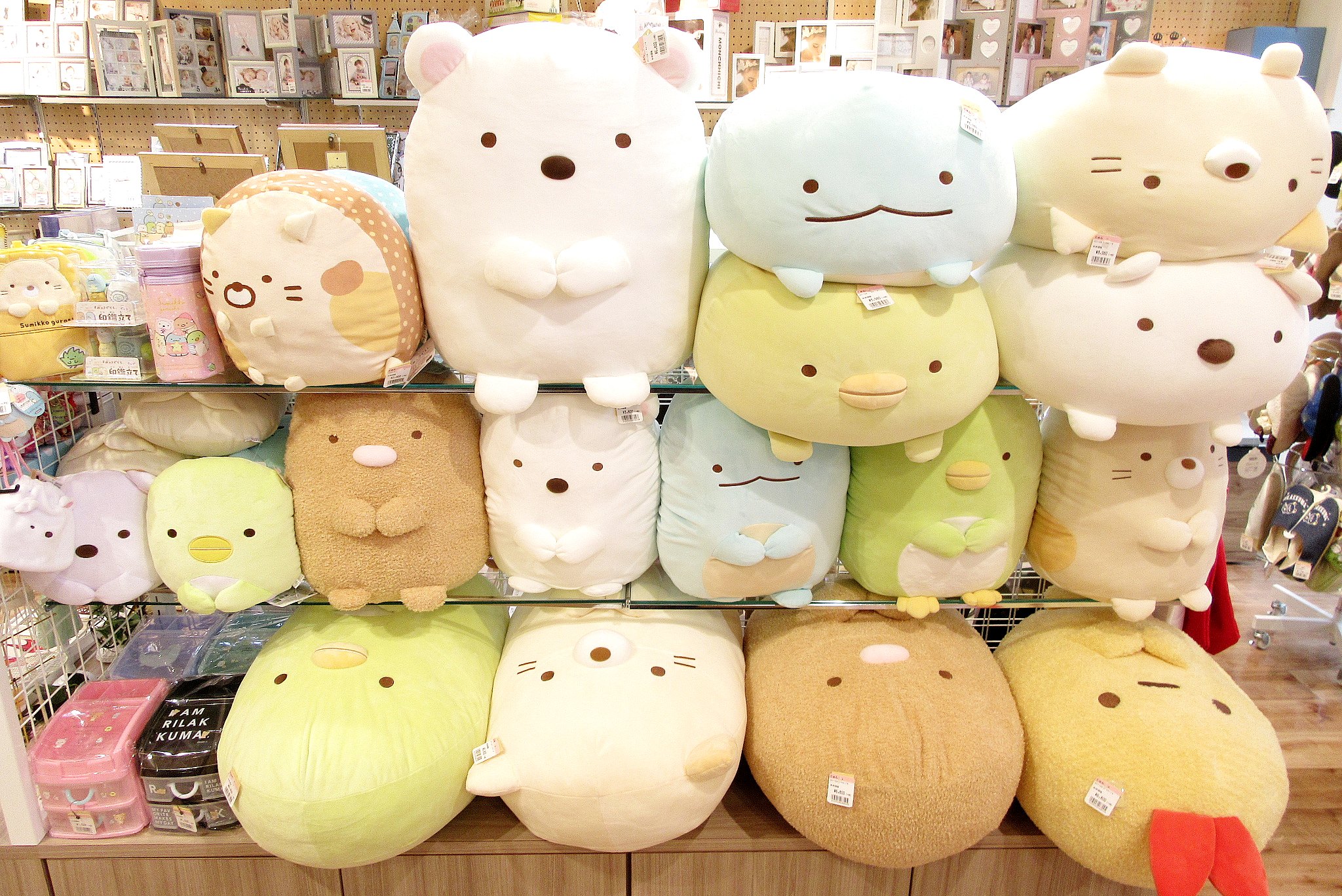 すみっコぐらし ぬいぐるみ＆クッション | ZAKKA & COSME じゅん TONAMI