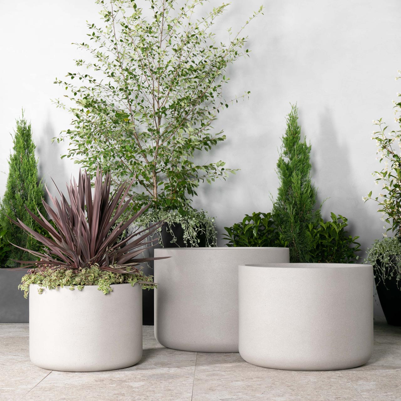 Brighton Low Cylinder | Just Add Plants