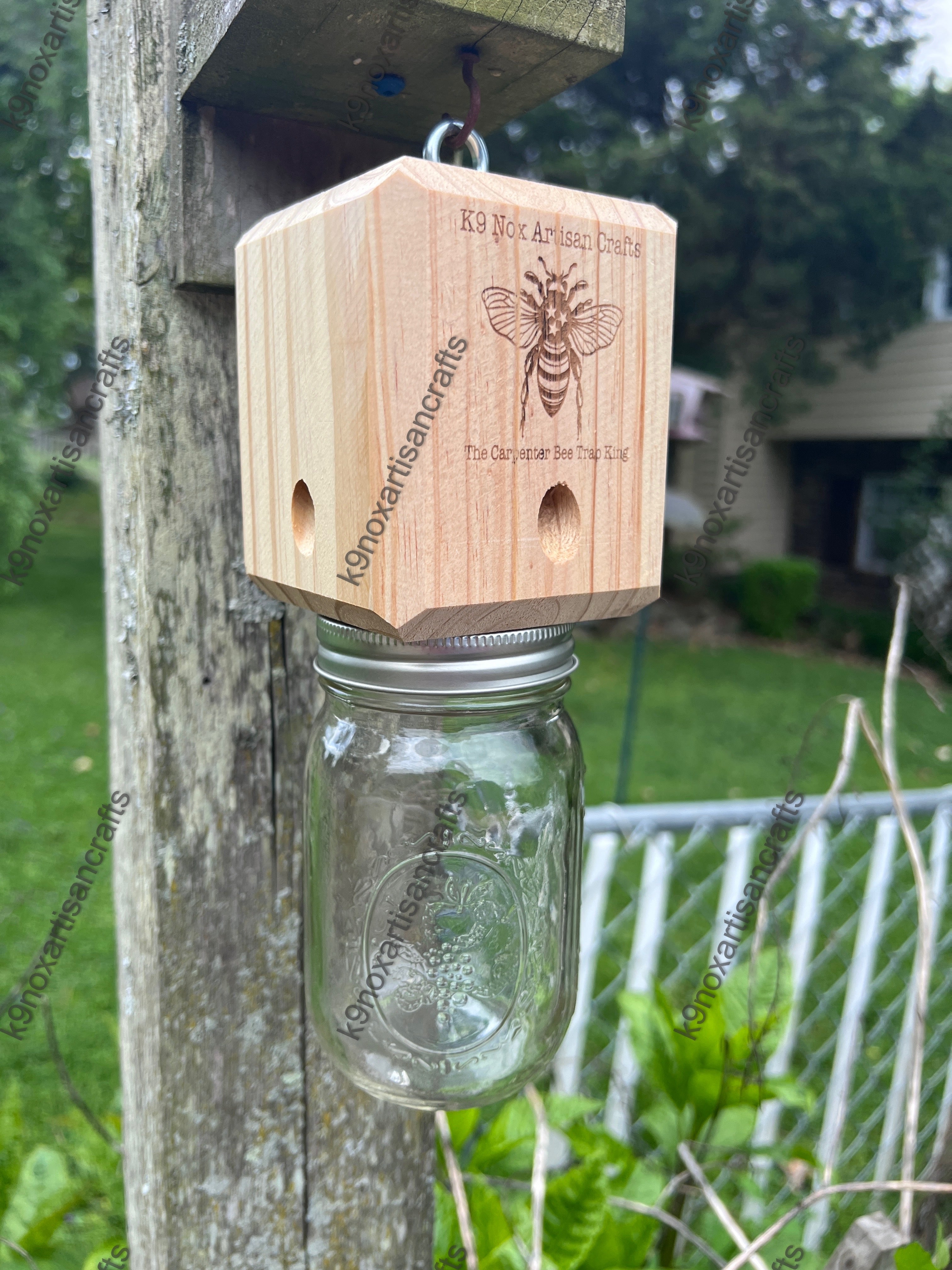 Best Simple Carpenter Bee Trap For Quick Control – K9 NOX ARTISAN