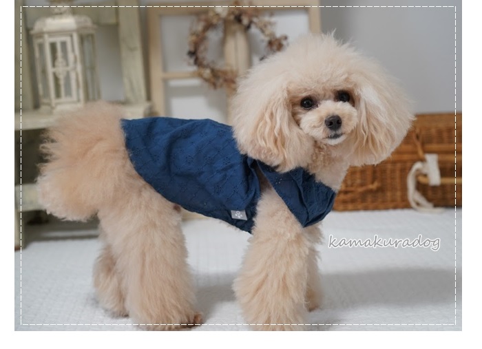 可愛い小型犬の洋服通販 鎌倉ドッグ ノーブルチュニック