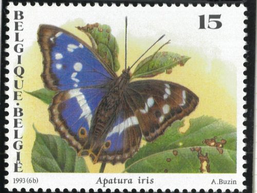 亀井昭伍切手コレクションより「ヨーロッパの蝶切手」 | カメイ美術館