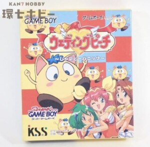 FC】ケイ・アミューズメントリース STED ステッド 遺跡惑星の野望 箱