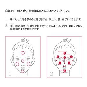 アルブラン ザ ファーストエッセンス レフィル | 花王公式通販 【My