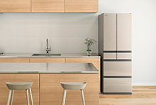 Hタイプ R-H48R ： 冷蔵庫 ： 日立の家電品