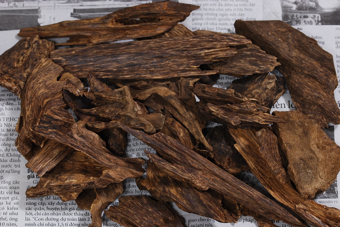 聞香用 香木 沈香 伽羅 最高級香木 六国 ⑧ 【公式通販】