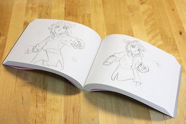 コミックマーケット85」にて、アニメスタイルにて販売されたアニメ