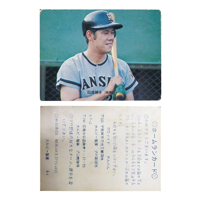 参考価格】カルビー プロ野球カード ホームランカード 1973年 堀内恒夫