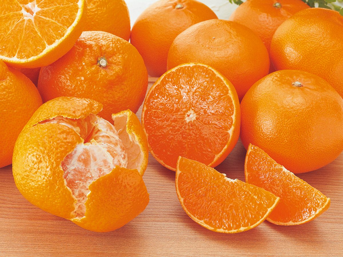 デコタンゴール＆せとか-家庭用4kg(各2kg) | のま果樹園