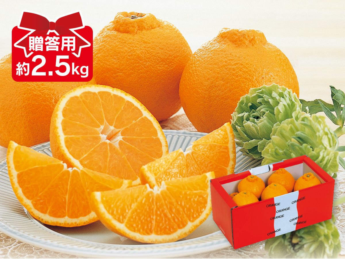 ベルガモット 約1kg 贈答用 | のま果樹園