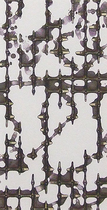 名和晃平「SYNTHESIS：シンセシス」ドローイング 2011年