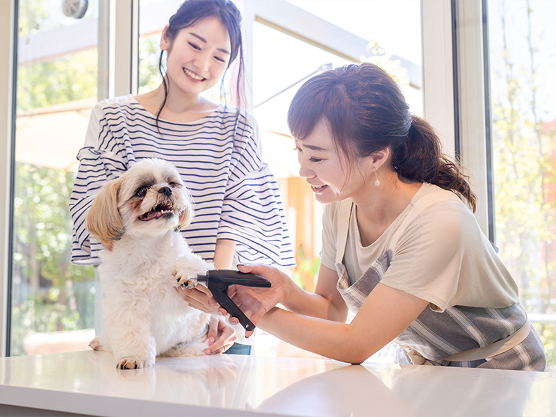 KL-MV01 UV-C 光触媒除菌庫｜PRODUCTS｜カルテック株式会社 公式サイト