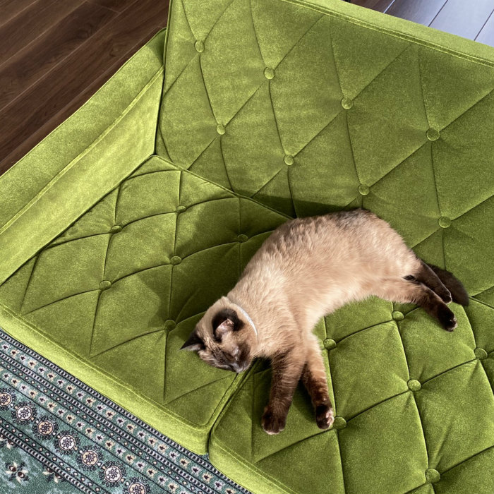 モケットグリーン – カリモク60オフィシャルショップ