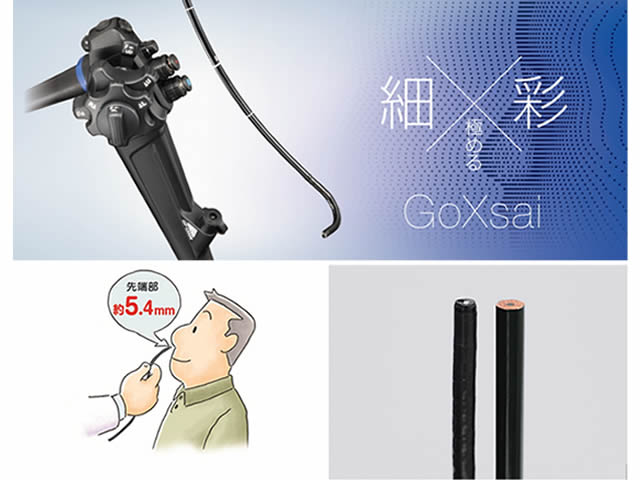 樫村胃腸科外科 】 内視鏡検査機器紹介