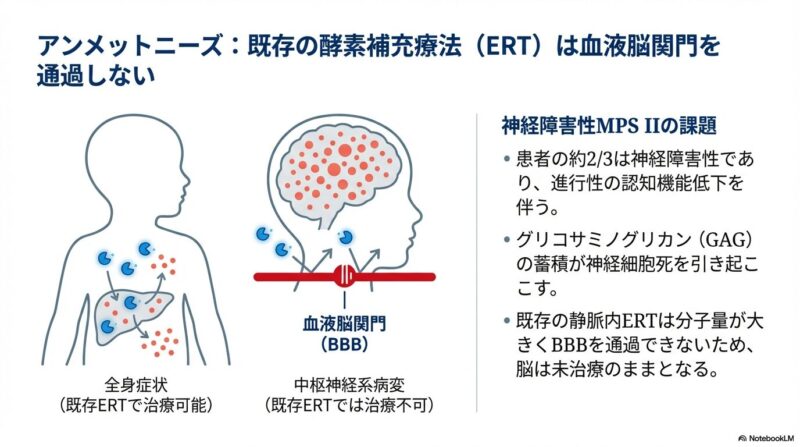 tividenofusp alfaの臨床試験：従来の酵素補充療法では到達できなかっ