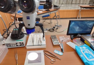 5-D Japan アドバンスコース | 札幌市東区「医療法人社団かわい歯科