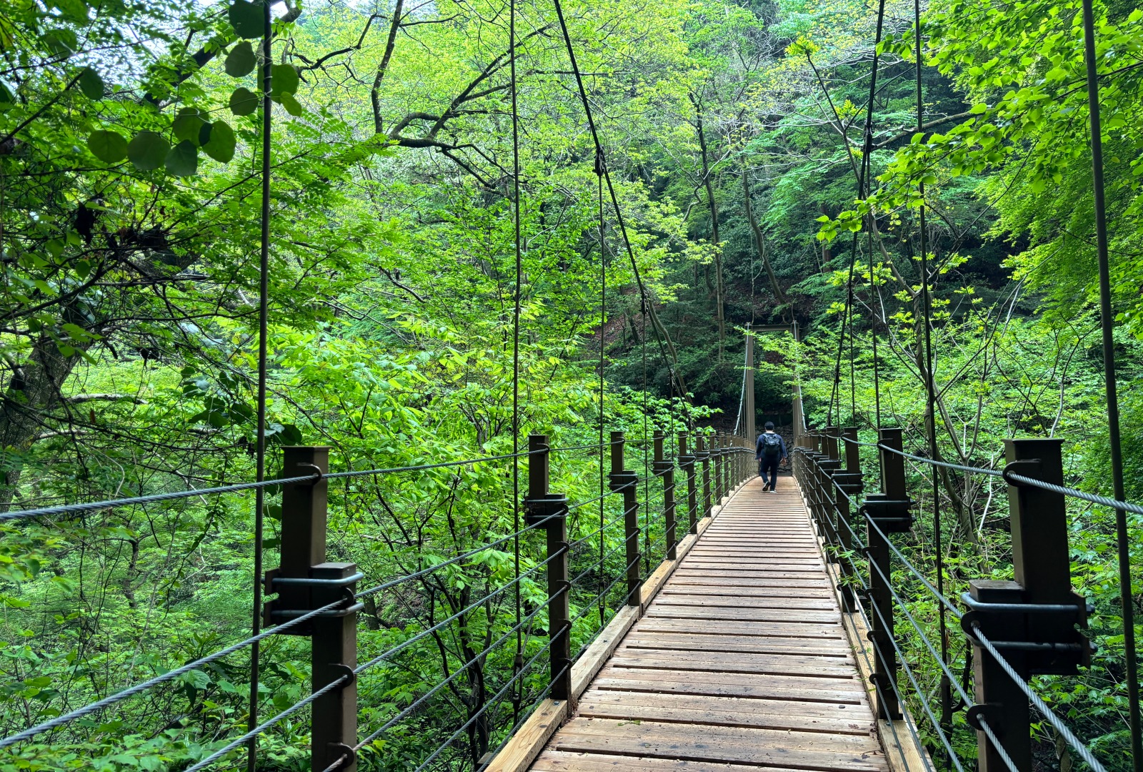 Improve your luck while climbing! A city with a variety of local