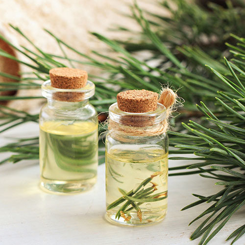 松の葉を入浴剤として使う方法｜松葉の活用方法-Food for Well-being