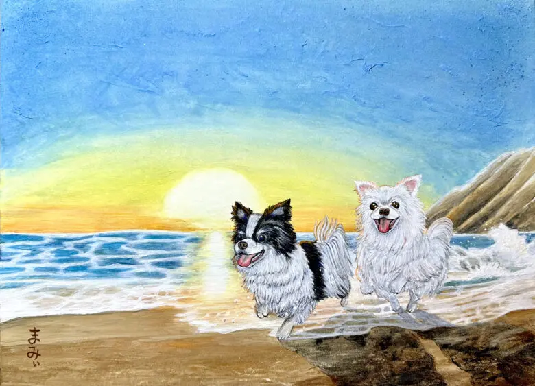 08 夕焼けの海辺で遊ぶ犬 | 間宮一樹 オフィシャルサイト