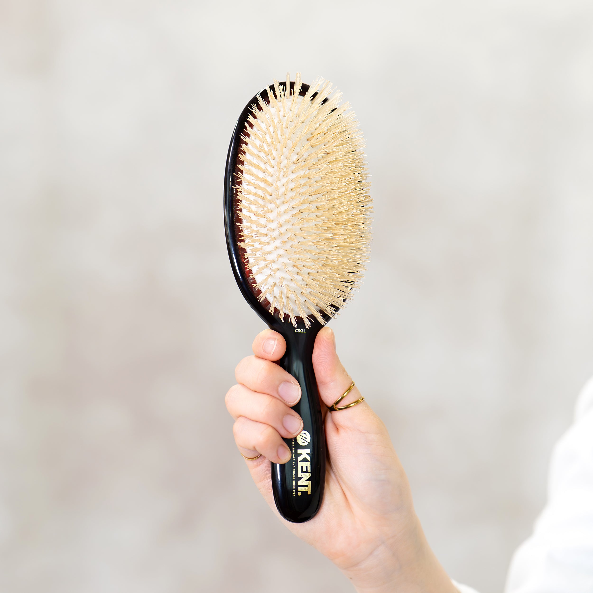 GB KENT ケント 英国王室御用達 豚毛 ソフトブリッスル クッション