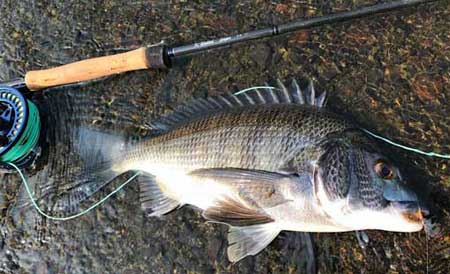 K・Bullet スナイパー シリーズ