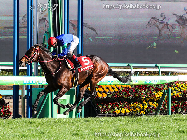 第96回 中山記念 回顧 | 競馬 研究ニュース